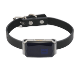 tracker chien